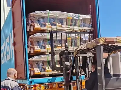 360 Sets Of Hand Pallet Trucks Will Be Delivered To Austria